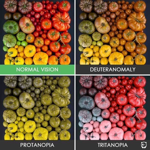 Picture of Color Blindness